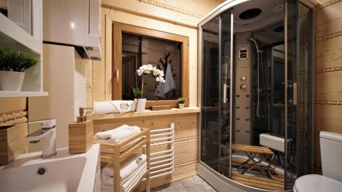 a bathroom with a shower and a toilet and a sink at Wioska Jasia i Małgosi in Izdebnik