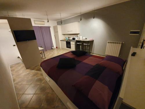 Un dormitorio con una cama grande y una cocina. en Casa Bach, en Piacenza