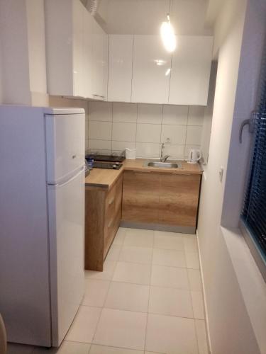 a kitchen with a white refrigerator and a sink at FLAMANITA APARTMENTS in Skopje