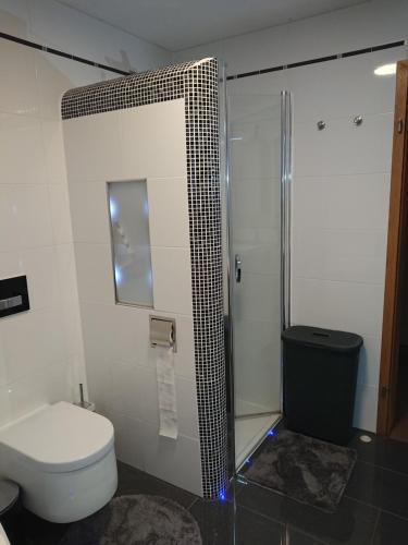 a bathroom with a toilet and a glass shower at Ferienwohnung Eichsfeld in Heilbad Heiligenstadt