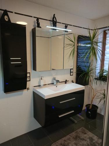 ein Badezimmer mit einem Waschbecken, einem Spiegel und einer Pflanze in der Unterkunft Ferienwohnung Eichsfeld in Heilbad Heiligenstadt