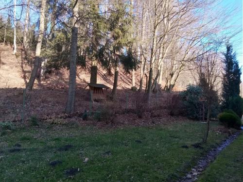 Κήπος έξω από το Apartmány Pod Přehradou
