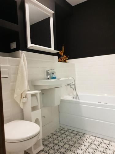 a bathroom with a white toilet and a sink and a tub at Meny Apartaments in Codlea
