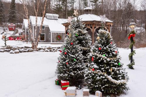 a christmas tree in the snow in front of a gazebo at The Barnstead Inn in Manchester Center