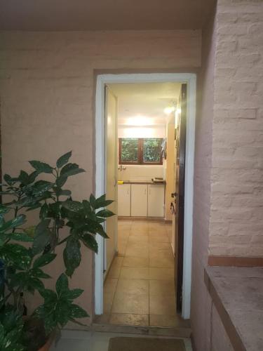 a hallway with a door and a plant in a room at Casa los Tilos in Valeria del Mar