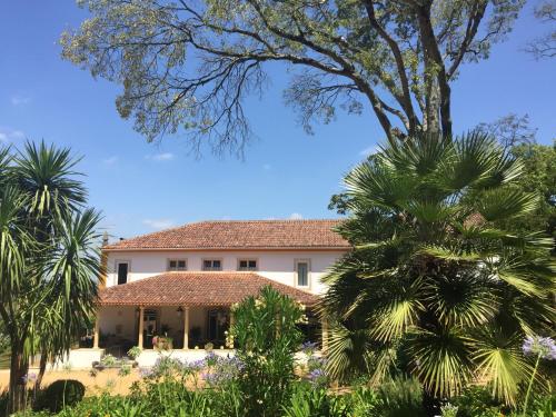 a large white house with palm trees in front of it at Quinta da Bizelga Cottages in Tomar
