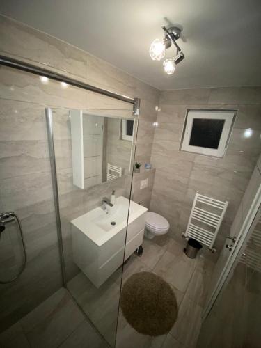 a bathroom with a sink and a shower and a toilet at Apartman Bilivano in Zagreb