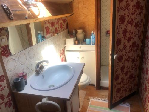サン・トゥルスにあるSéjour auvergnat chez l'habitantの洗面台とトイレ付きのバスルーム
