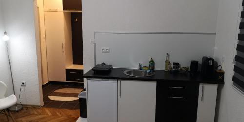 Kuchyň nebo kuchyňský kout v ubytování Apartment Cakic