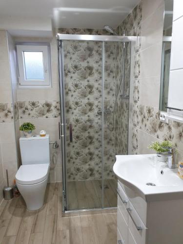 a bathroom with a shower and a toilet and a sink at Apartments Elena in Ugljan