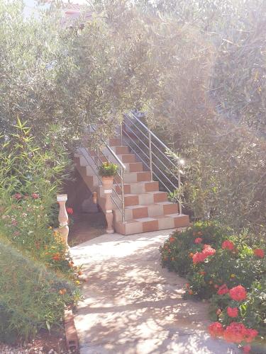 a set of stairs with flowers in a garden at Apartments Elena in Ugljan
