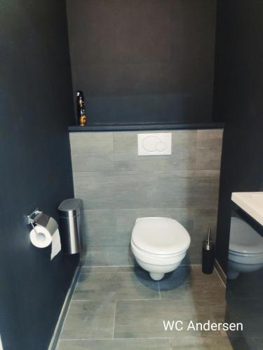 a bathroom with a white toilet and a sink at DayNight Sauveniere in Liège