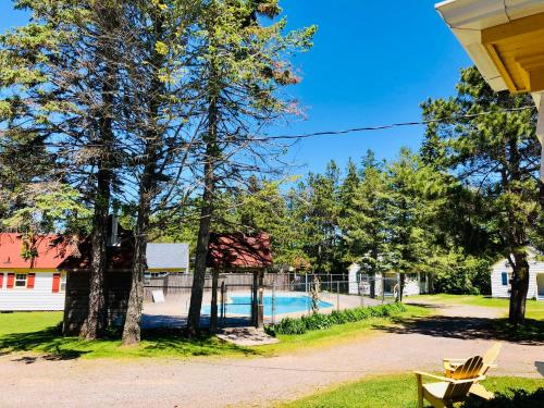 a yard with a swimming pool and trees at Green Gables Bungalow Court in Cavendish