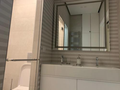 a bathroom with a sink and a mirror at Pupin Palace Apartments in Novi Sad