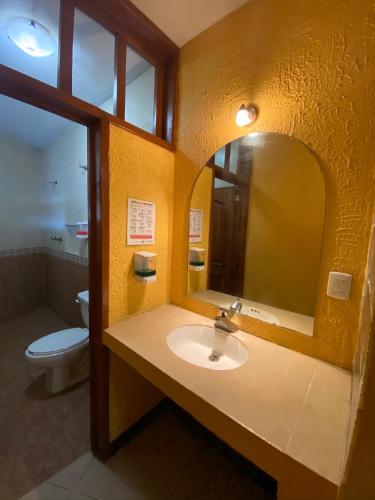 y baño con lavabo, espejo y aseo. en Auto Hotel Villaferr, en Oaxaca City