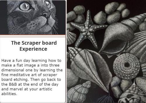 a book with a picture of a frog and a starfish at Gumnut Getaway BnB in Goolwa North