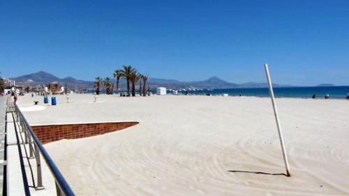 una spiaggia sabbiosa con palme e l'oceano di Apartamentos Lunamar a El Campello