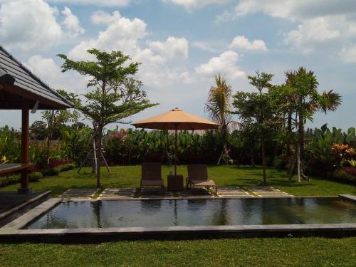 Jardín al aire libre en TiTi Villa