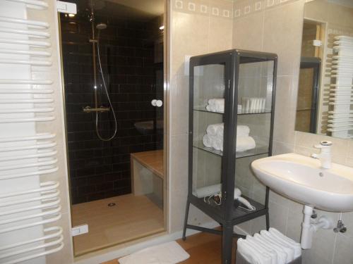 a bathroom with a shower and a sink and a shower at B&B Korsele 59 in Horebeke