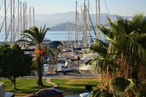 a marina with alot ofocked boats in the water at Naiades Marina Hotel in Agios Nikolaos