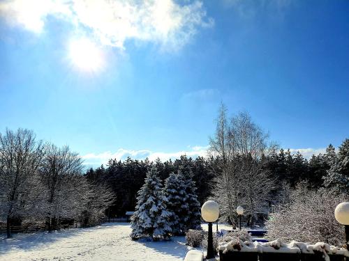 a snow covered yard with trees and the sun in the sky at Apartment White Bear in Zlatibor