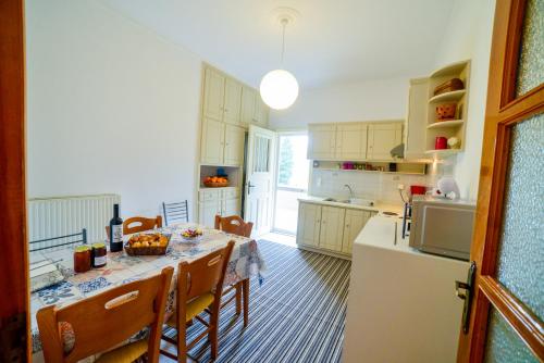 A kitchen or kitchenette at Leonidio Apartment Maria