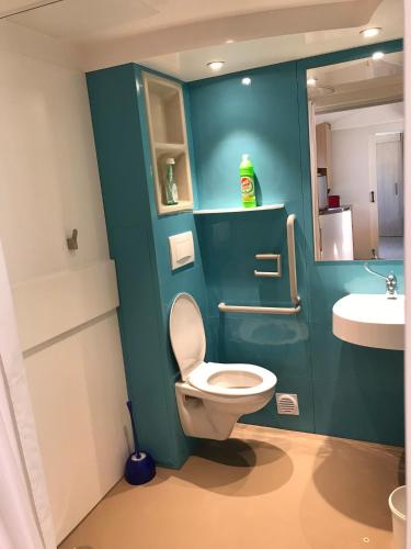 une salle de bain avec toilettes et lavabo dans l'établissement Camping La Carabasse **** Vias, à Vias