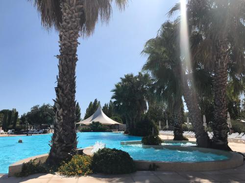 une piscine dans un complexe hôtelier avec des palmiers dans l'établissement Camping La Carabasse **** Vias, à Vias