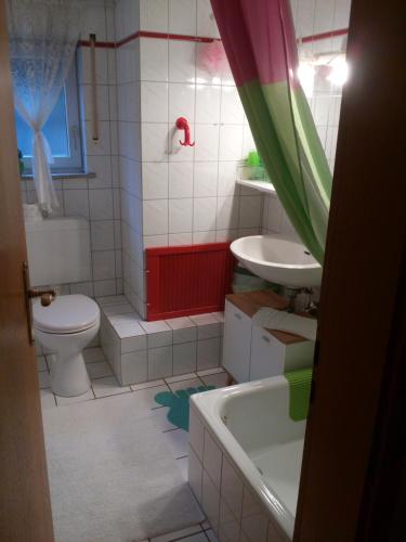 a bathroom with a toilet and a sink at Gaestehaus Kasper in Kenzingen