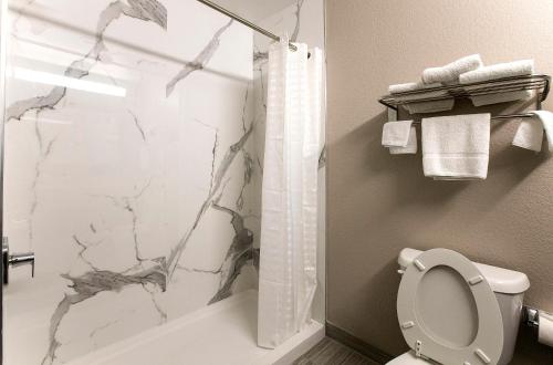 a bathroom with a shower and a toilet and a shower curtain at Express Inn in Rosenberg