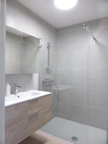 ein Badezimmer mit weißem Waschbecken und Dusche in der Unterkunft Vanden Broeck in Ostende
