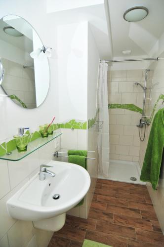 a bathroom with a sink and a shower at Schloms Hof in Waffensen
