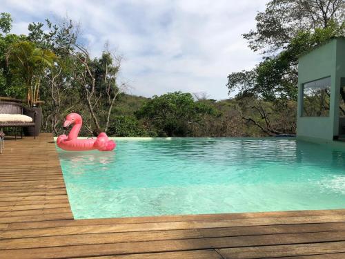 a swimming pool with a pink flamingo in the water at Pousada Santa Vila in Serra do Cipo