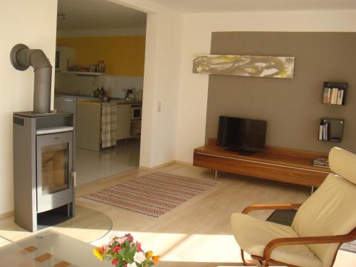 a living room with a fireplace and a television at Kleine Auszeit - Natur und Erholung in Mecklenburg in Reimershagen