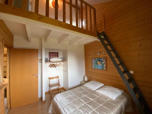 a bedroom with a bunk bed and a ladder at le montanet in Thollon