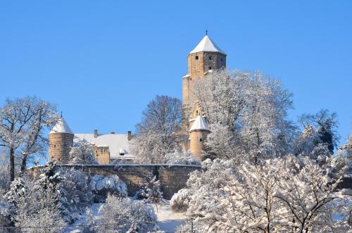 a castle covered in snow with trees in the foreground at Landgasthof Falken in Niederaltingen