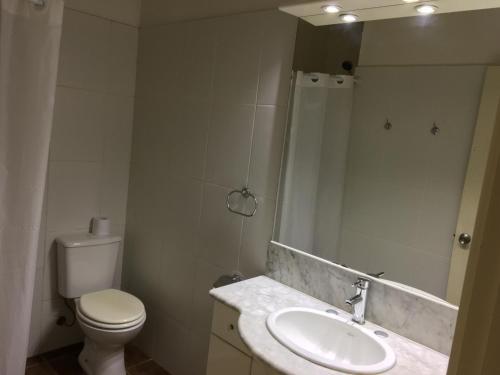 W łazience znajduje się toaleta, umywalka i lustro. w obiekcie Hotel Colonial w mieście Maldonado