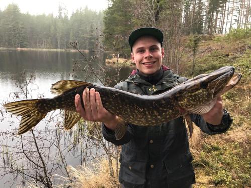 a man holding a large fish in front of a lake at Rustika strandstugor utanför Rättvik in Rättvik