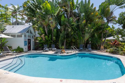 a swimming pool in front of a house with palm trees at Paradise Inn - Adult Exclusive in Key West
