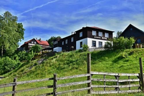 a house on a hill with a fence at Pension Helene s mini pivovarem in Kytlice