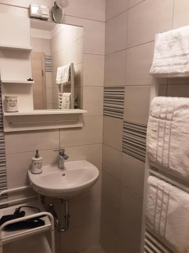Koupelna v ubytování Apartments Barbi