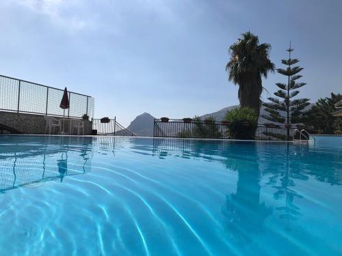 a large swimming pool with a palm tree in the background at Kairos B&B in San Giuseppe Jato