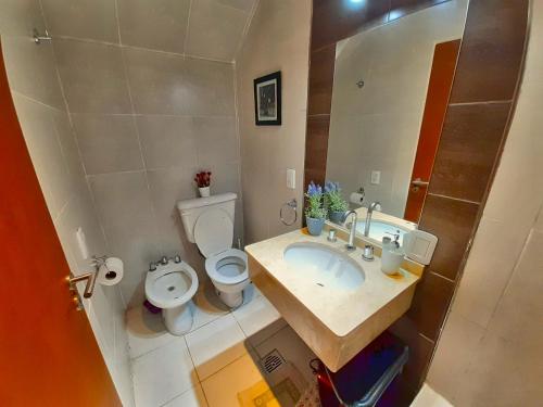 a bathroom with a sink and a toilet and a mirror at Departamento Encantador monoambiente Domaine Laborde I in Mendoza