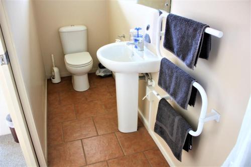 łazienka z umywalką i toaletą w obiekcie Owen River Tavern & Motels w mieście Owen River