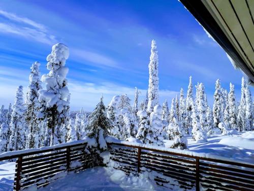 a winter view of trees covered in snow at Hietavilla Aurora in Ruka