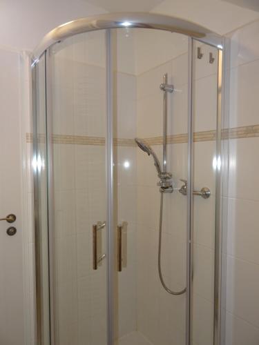 um chuveiro numa casa de banho com uma porta de vidro em Prague Gardens Appartments em Praga