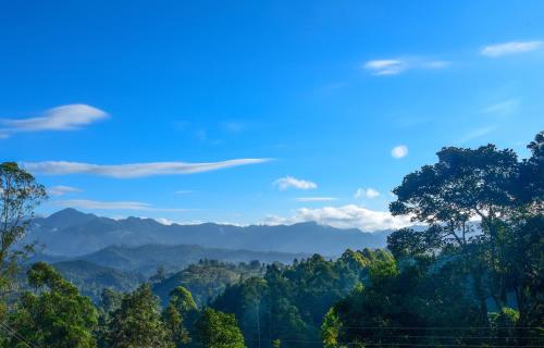 المناظر الطبيعية بالقرب من الفندق