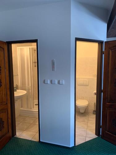 a blue room with a bathroom with a toilet at Penzion U Orla in Petříkov