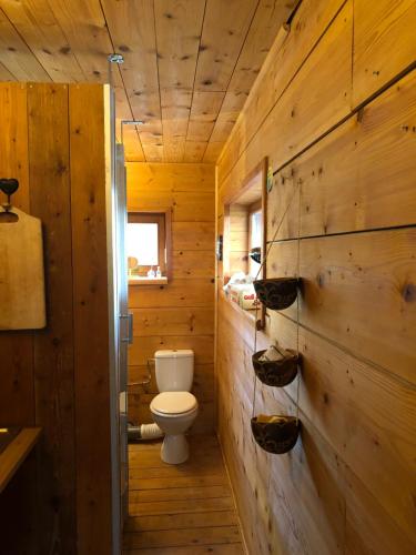 a bathroom with a toilet in a wooden cabin at Sunrise Cabin et Sauna in Rothbach