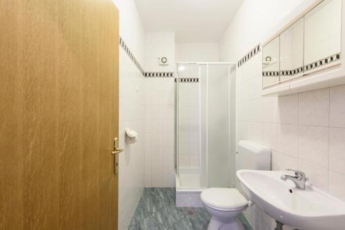 uma casa de banho com um WC, um lavatório e um chuveiro em Apartments Golubić em Sveti Petar